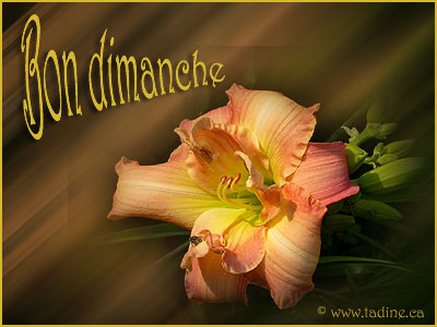 Bonne Dimanche mes amies